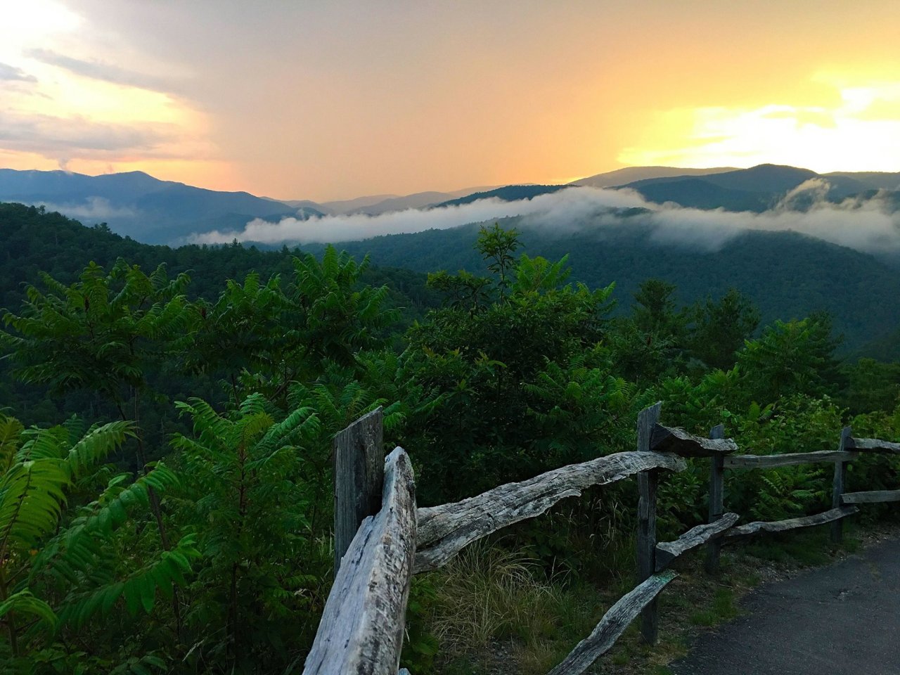 A view of the Great Smoky Mountain National Park during an outdoor activity.