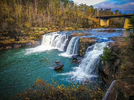 A beautiful waterfall surrounded by trees at Little River Canyon National Preserve where a fun outdoor activity can be had.